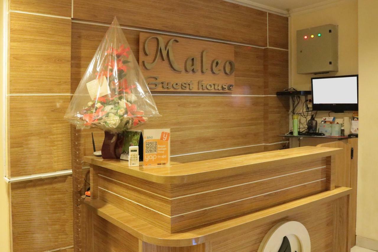 Oyo 984 Maleo Guest House Ambon Exterior photo